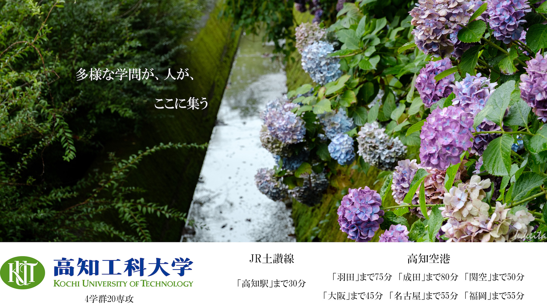 June Poem Image