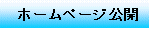 Notes for opening individul homepage